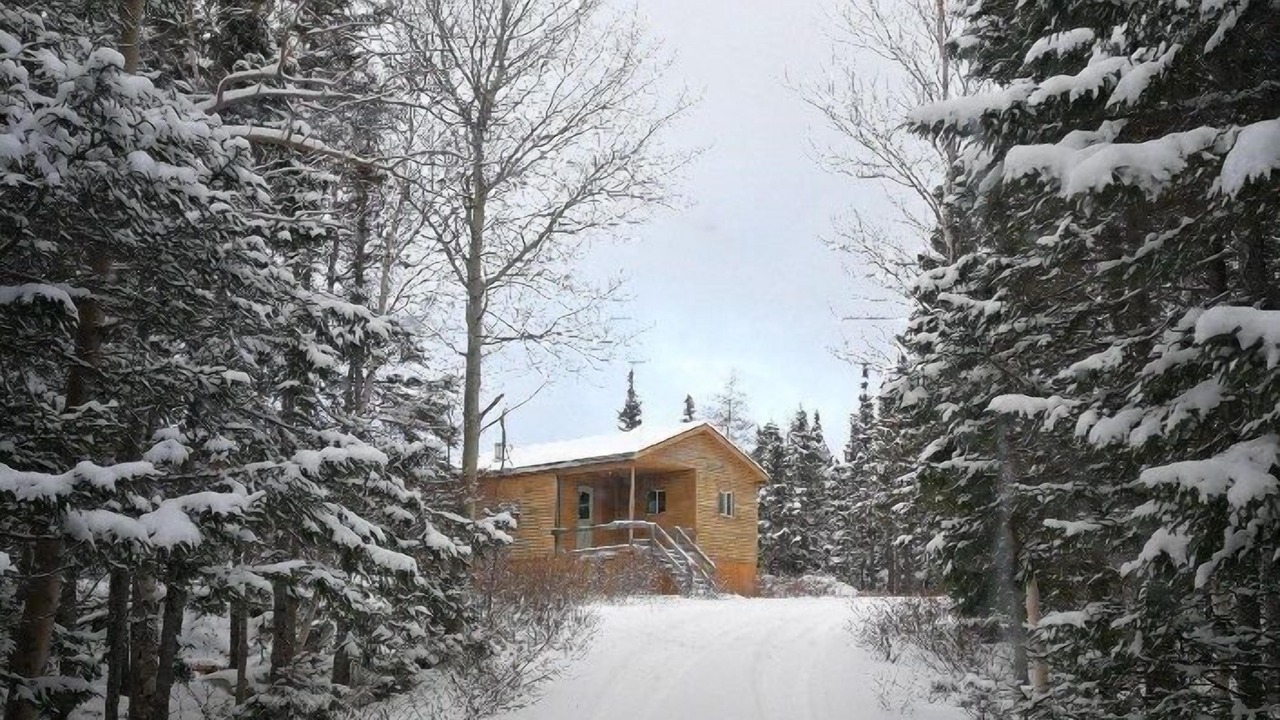 Photo of Others in New-Wes-Valley