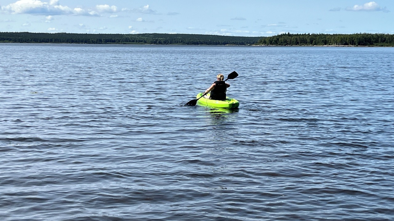 Photo of Others in New-Wes-Valley