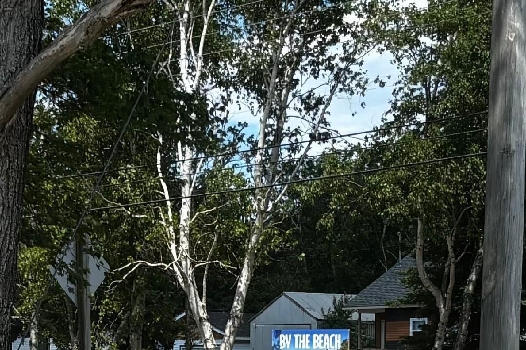 Photo of Outdoor in Deer Lake