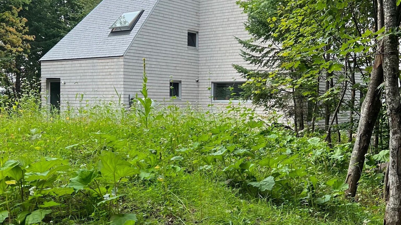 Photo of Outdoor in Sainte-Marguerite-du-Lac-Masson