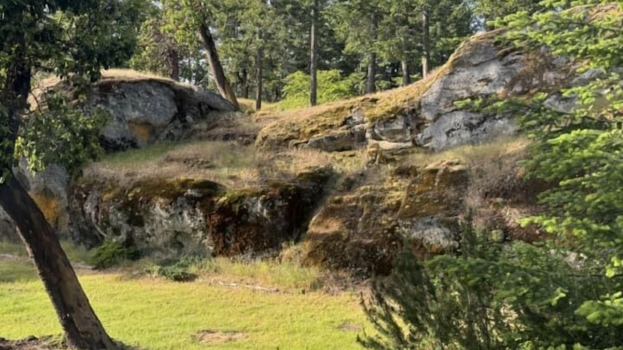 Photo of Others in Pender Island
