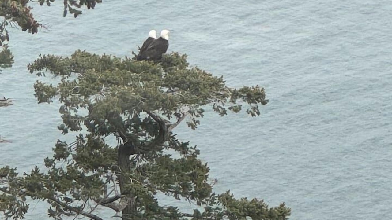 Photo of Others in Pender Island