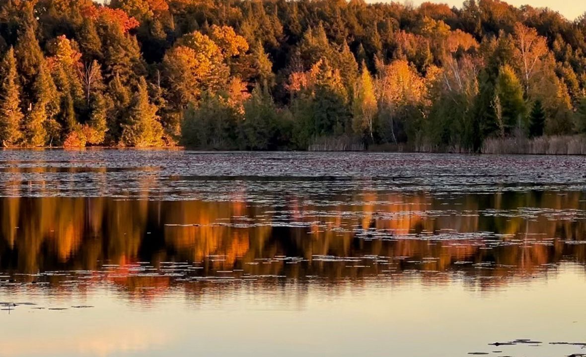 Photo of Others in Kawartha Lakes