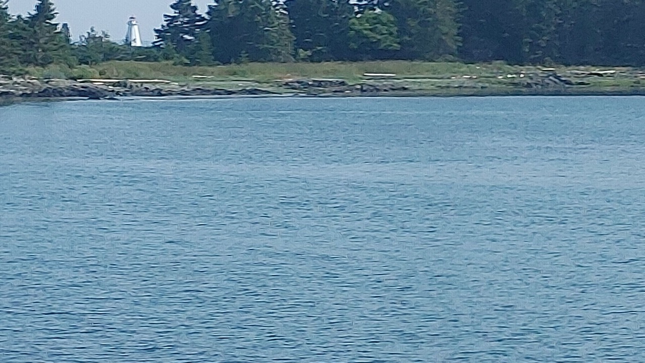 Photo of Others in St. Martins