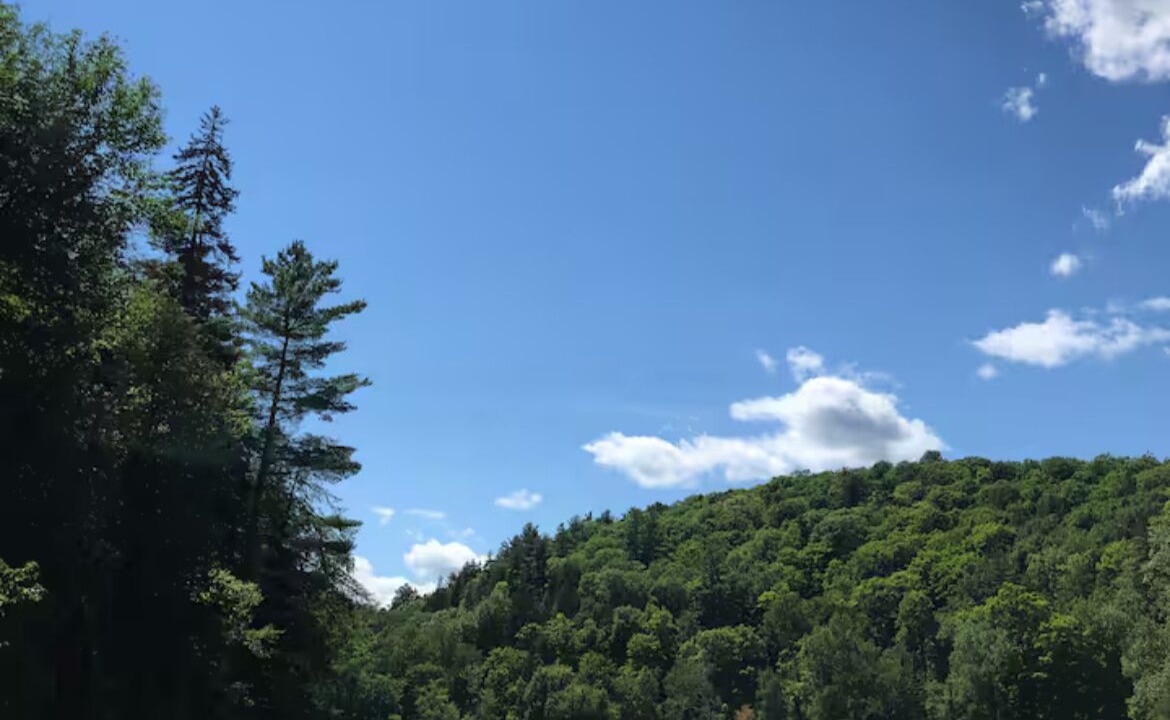 Photo of Others in Hastings Highlands