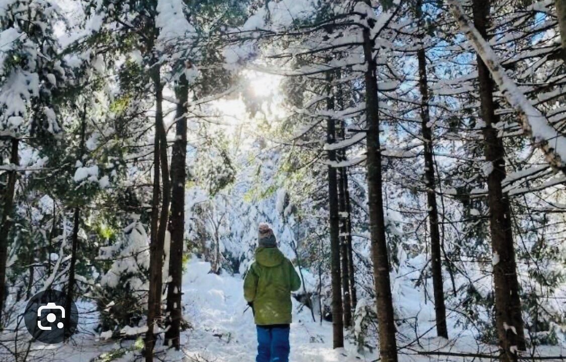 Photo of Others in Mauricie