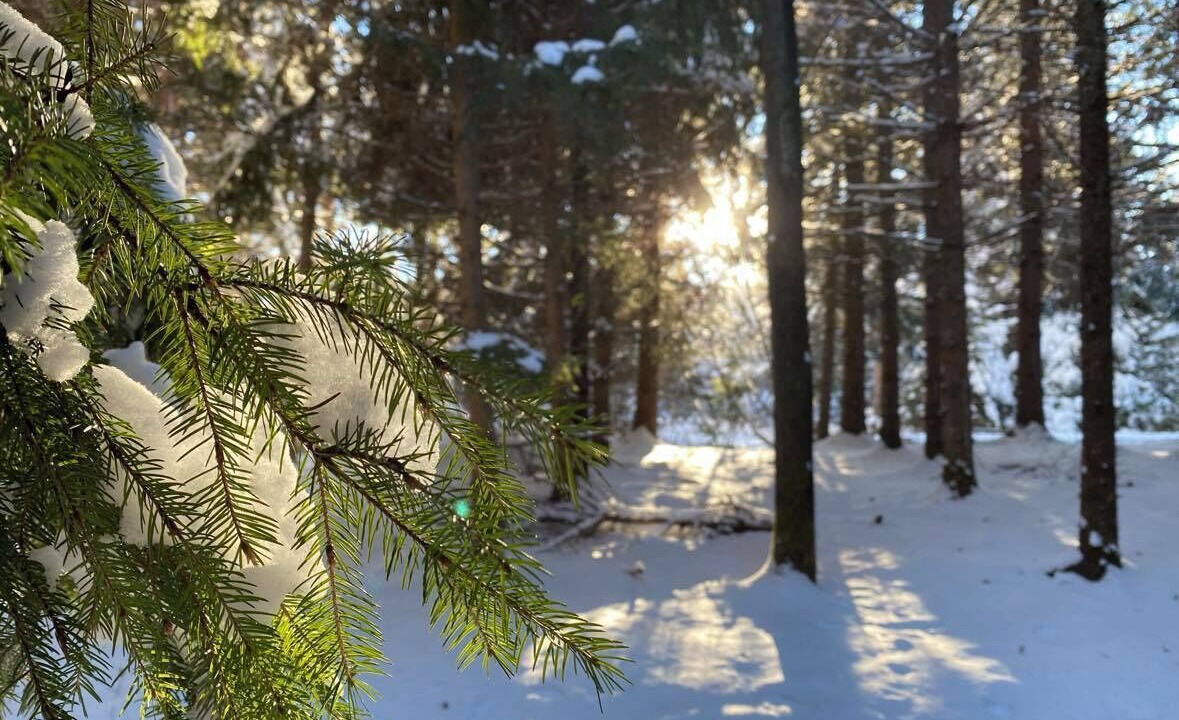 Photo of Others in Mauricie