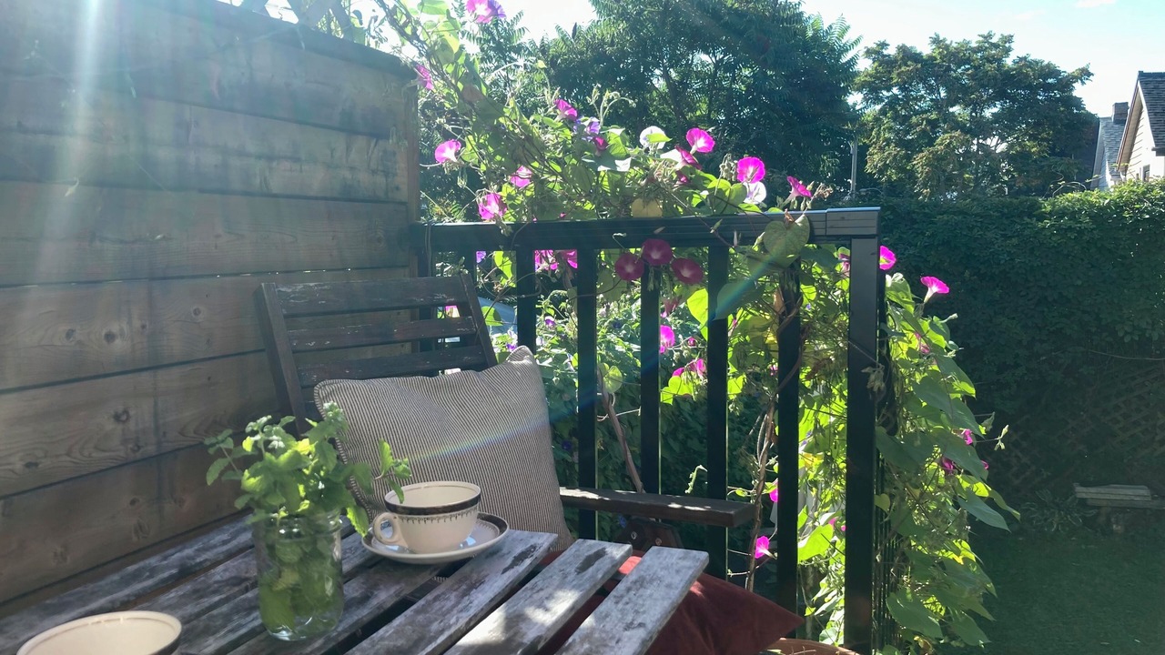 Photo of Outdoor in Little Portugal