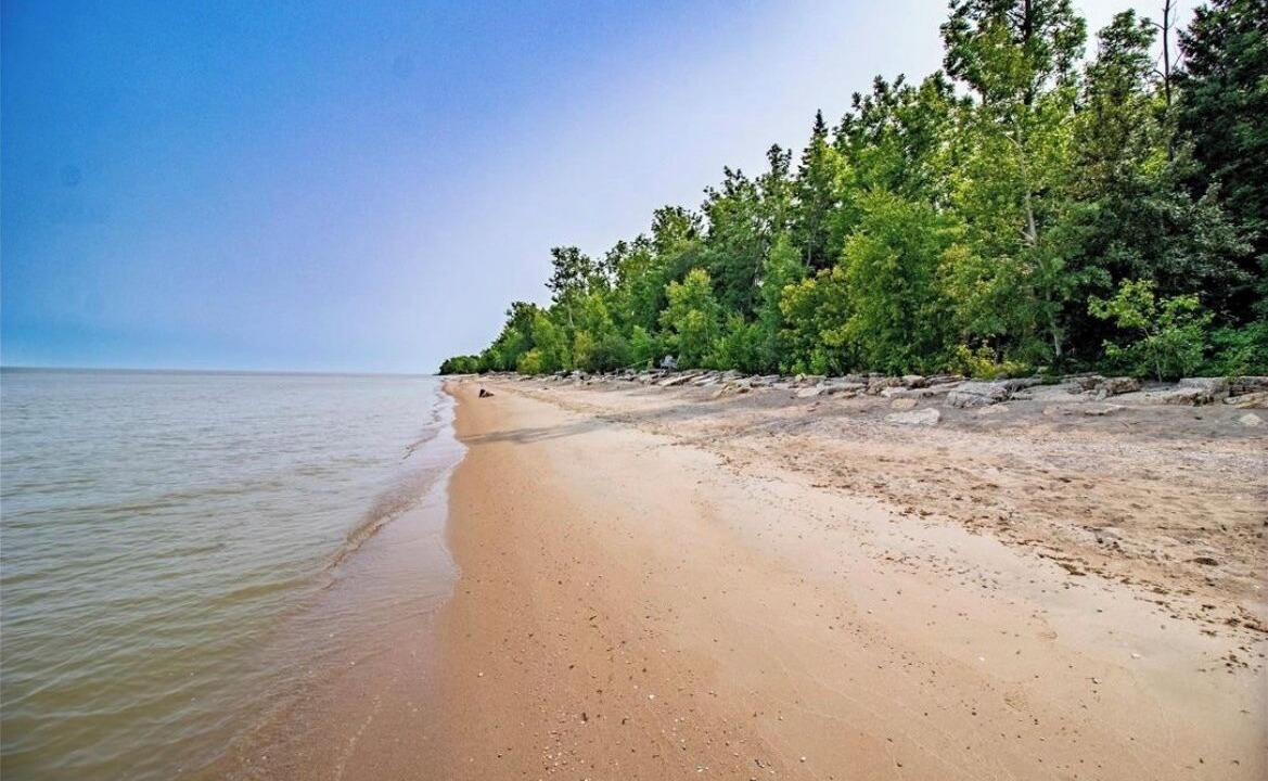 Photo of Others in Gimli