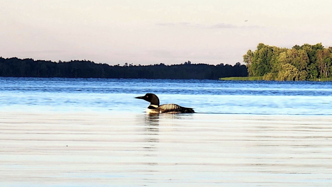 Photo of Others in Drummond-North Elmsley