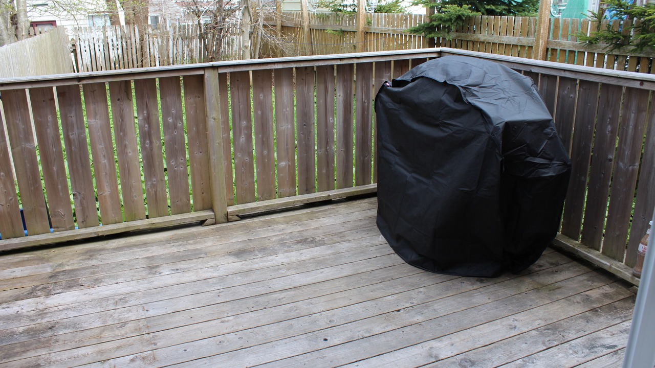Photo of Outdoor in Downtown St. John's