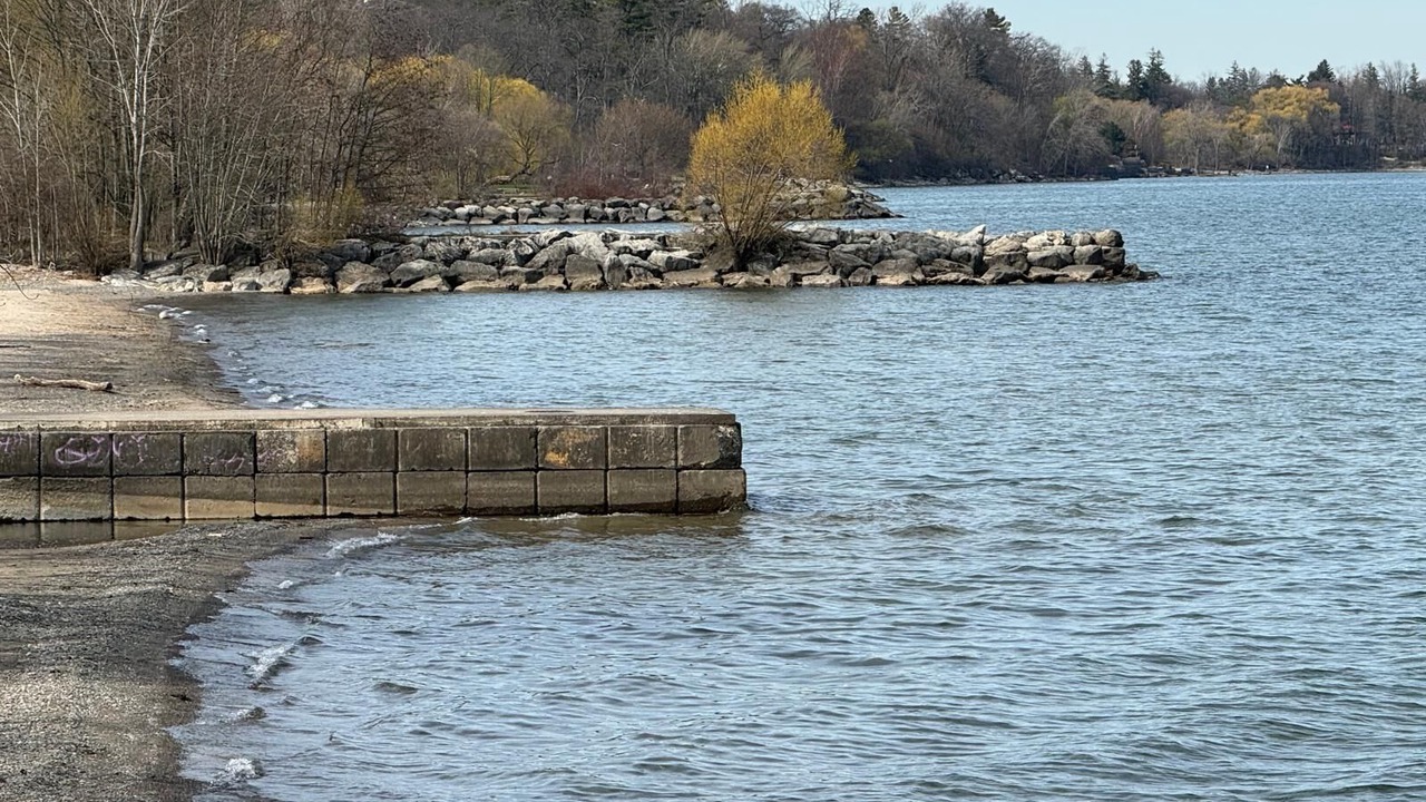 Photo of Outdoor in Clarkson-Lorne Park