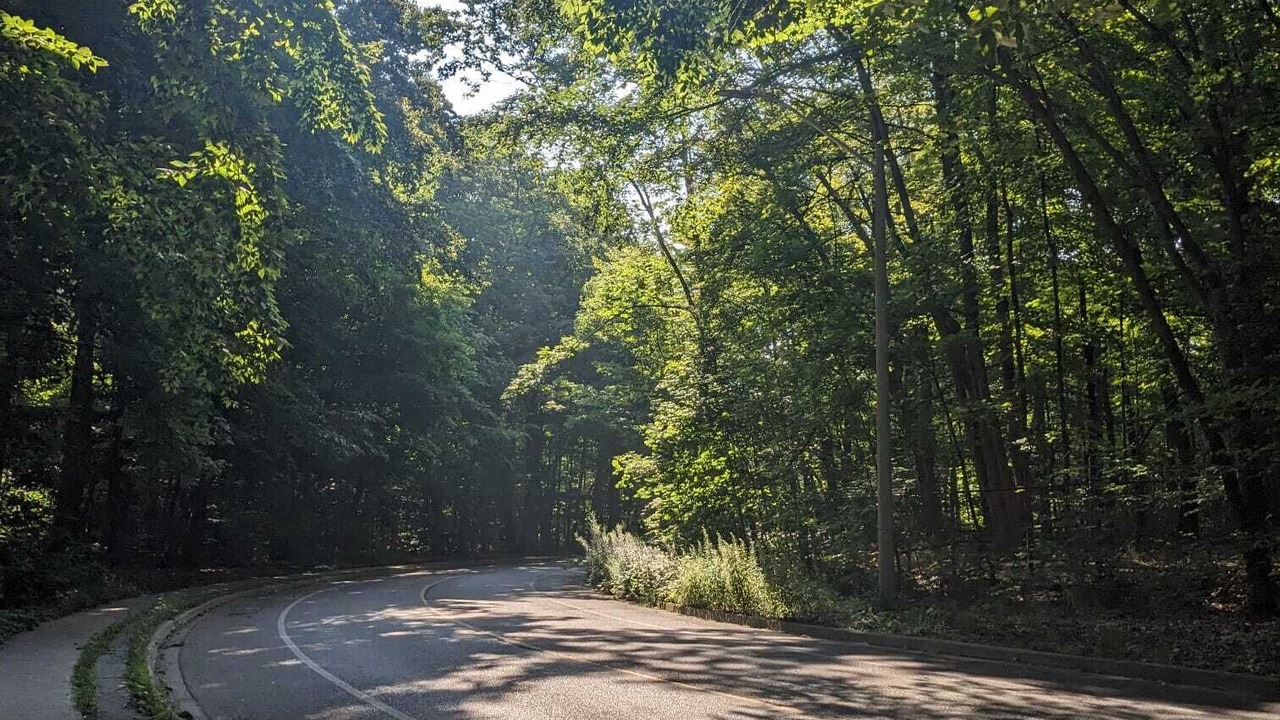 Photo of Outdoor in Clarkson-Lorne Park