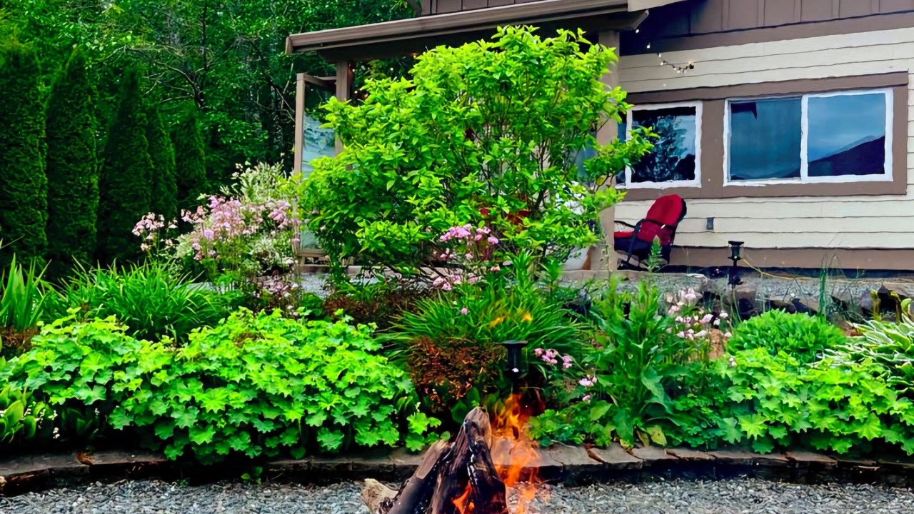 Photo of Outdoor in Courtenay