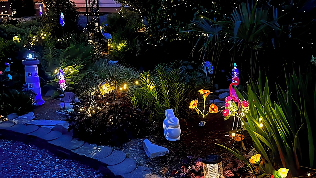 Photo of Outdoor in Courtenay