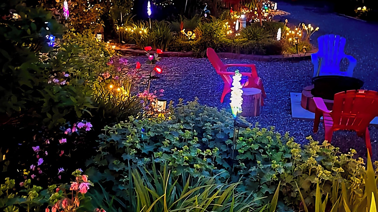 Photo of Outdoor in Courtenay