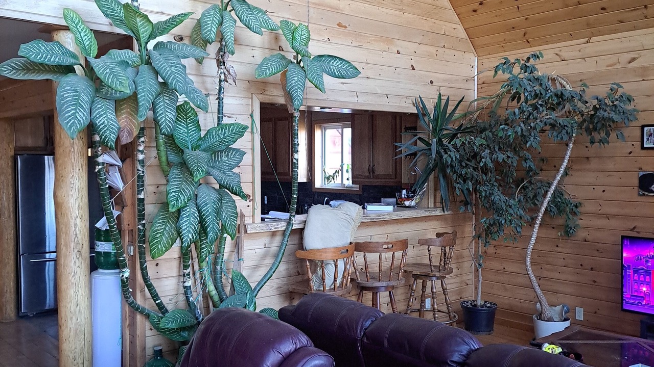 Photo of Livingroom in Dunchurch