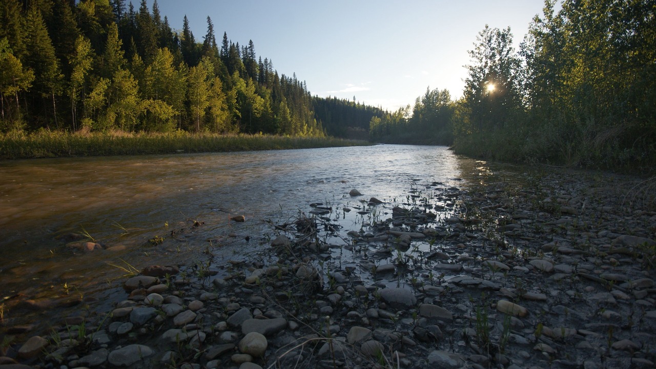 Photo of Others in Sundre