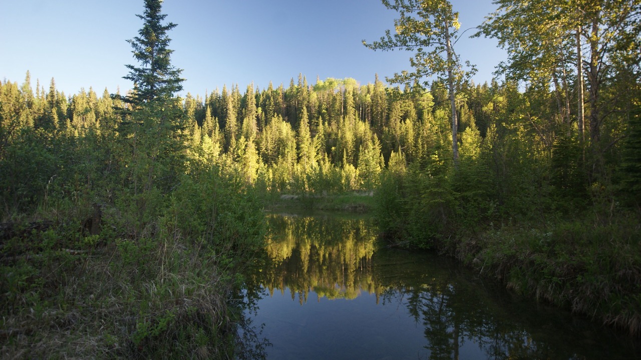 Photo of Others in Sundre