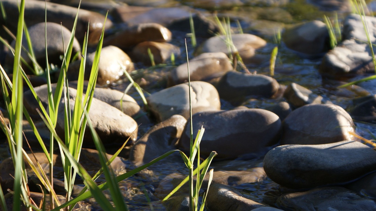 Photo of Outdoor in Sundre