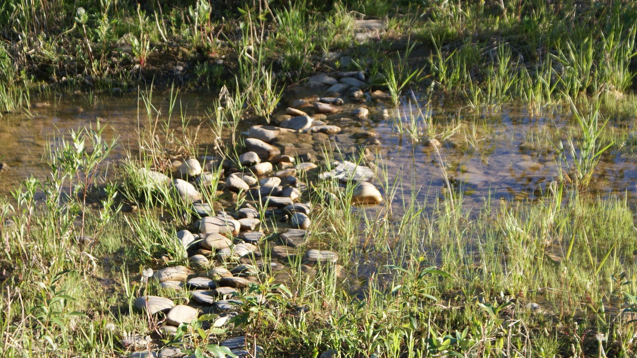 Photo of Others in Sundre