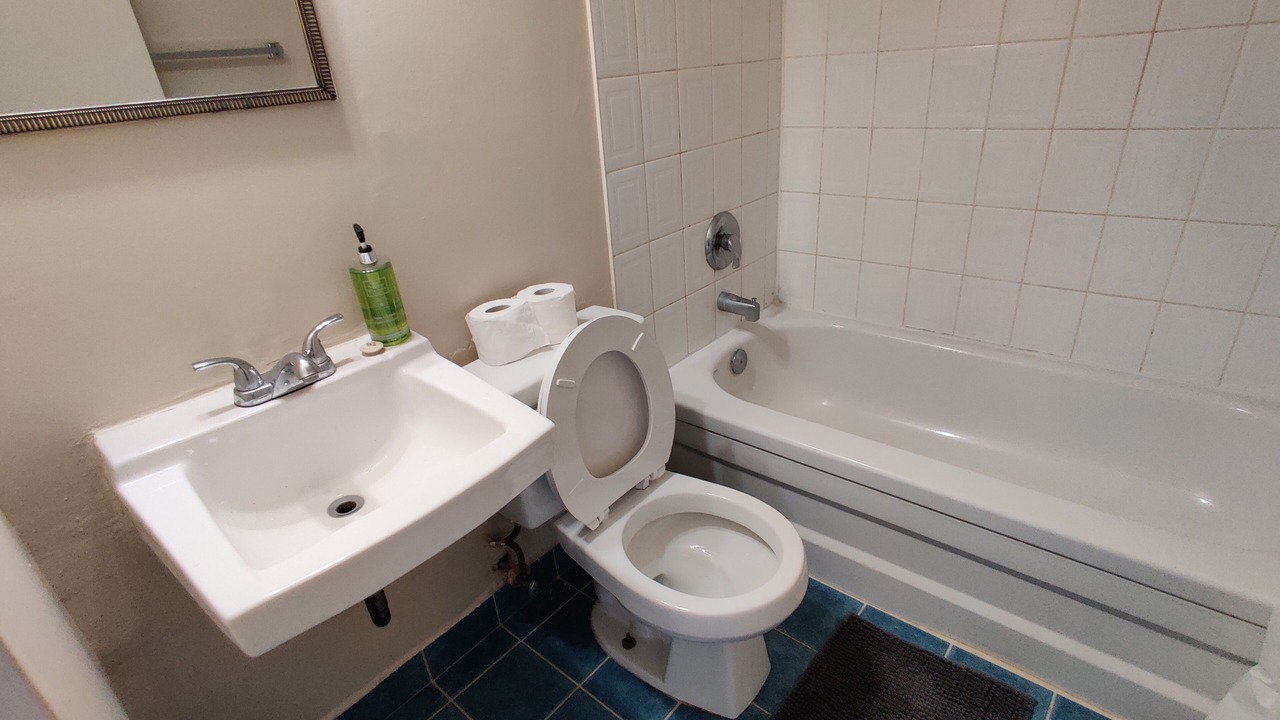 Photo of Bathroom in Garden District