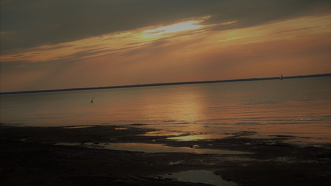 Photo of Others in Grand Barachois