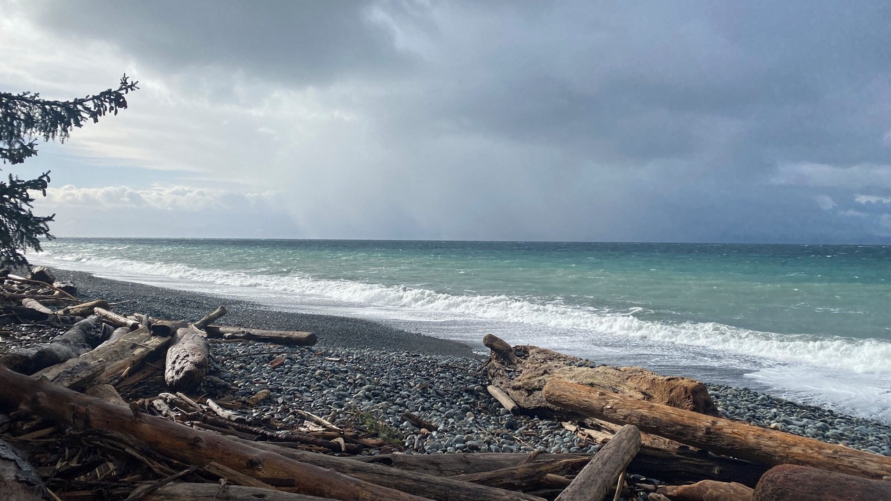 Photo of Others in Otter Point
