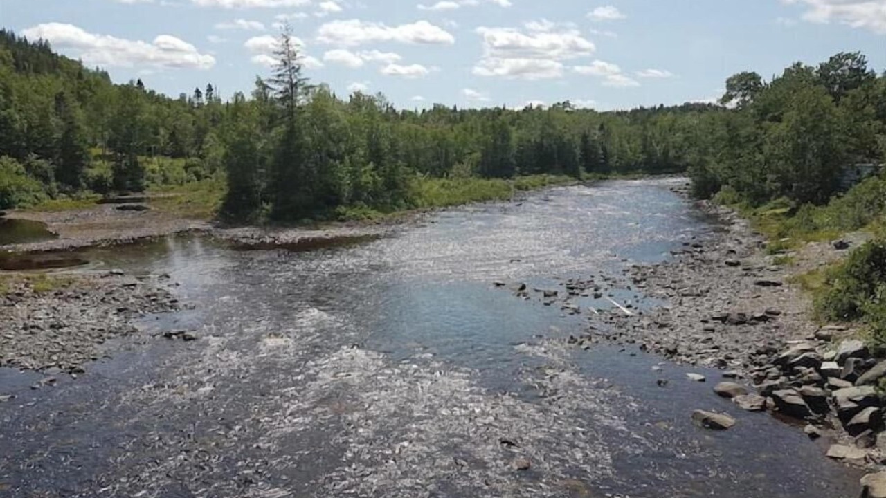 Photo of Outdoor in Point Leamington
