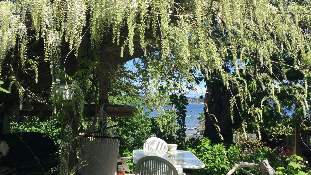 Photo of Others in Courtenay