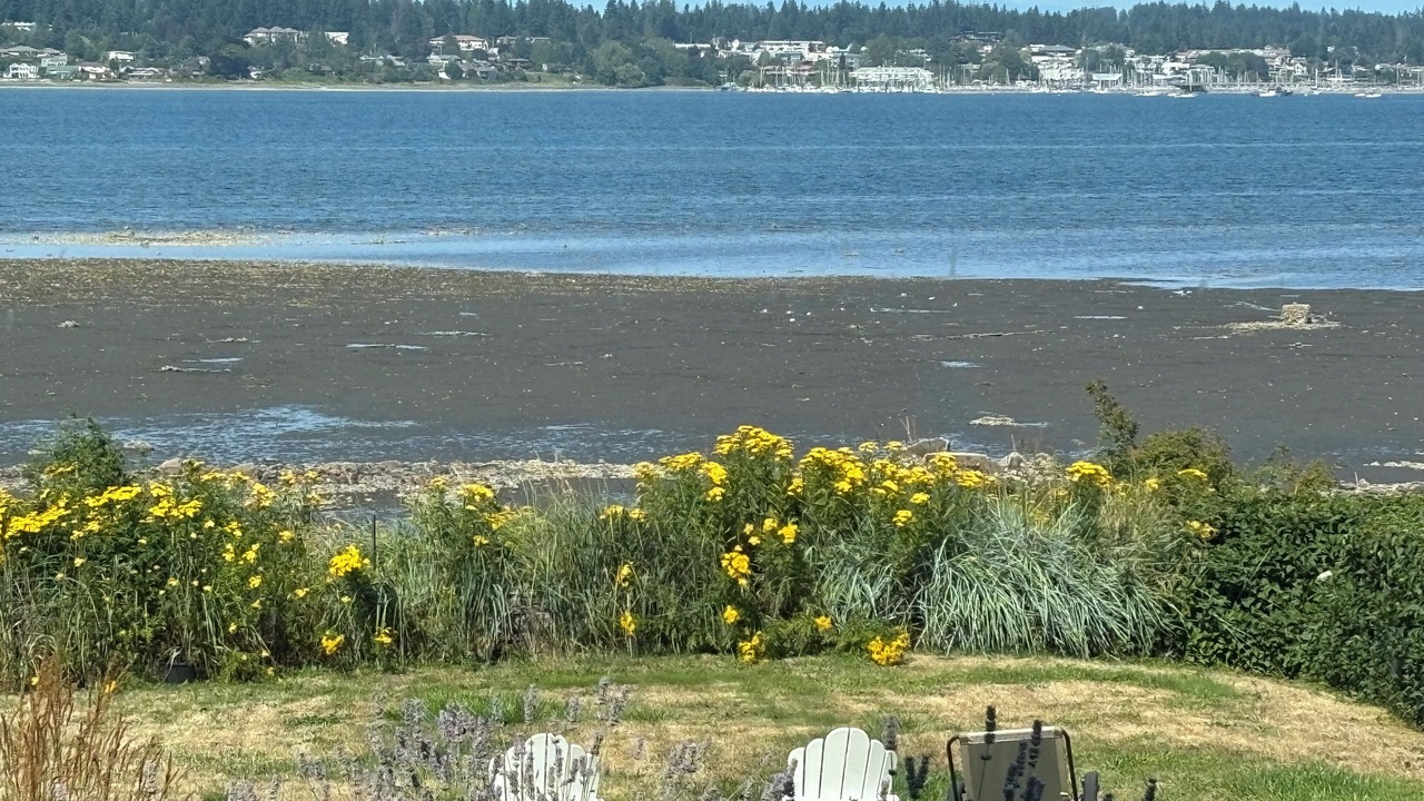 Photo of Others in Courtenay