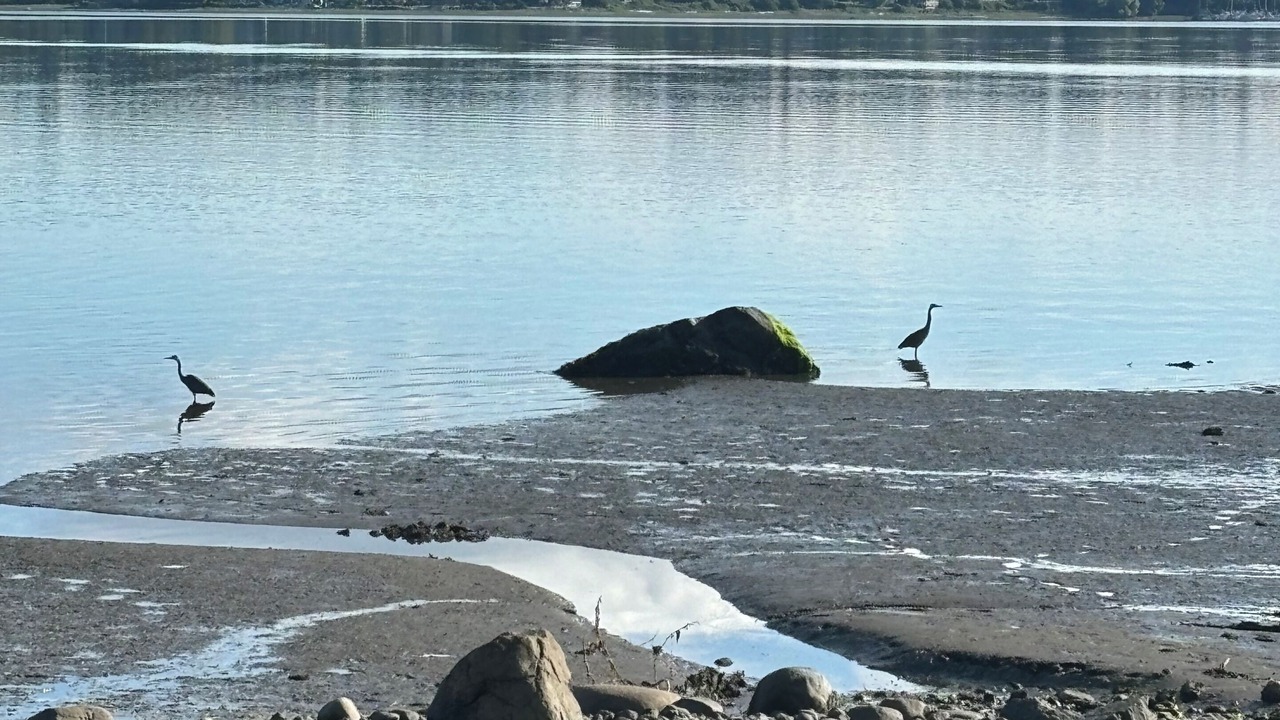 Photo of Others in Courtenay