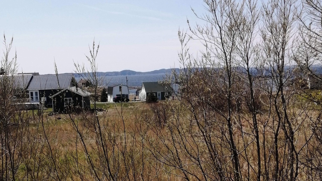 Photo of Outdoor in Twillingate