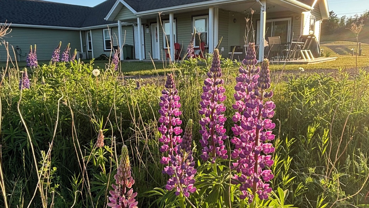 Photo of Outdoor in Stanley Bridge
