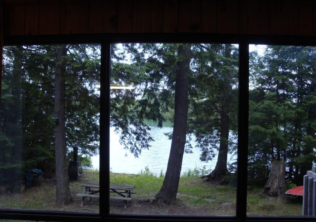 Photo of Others in Clear Lake
