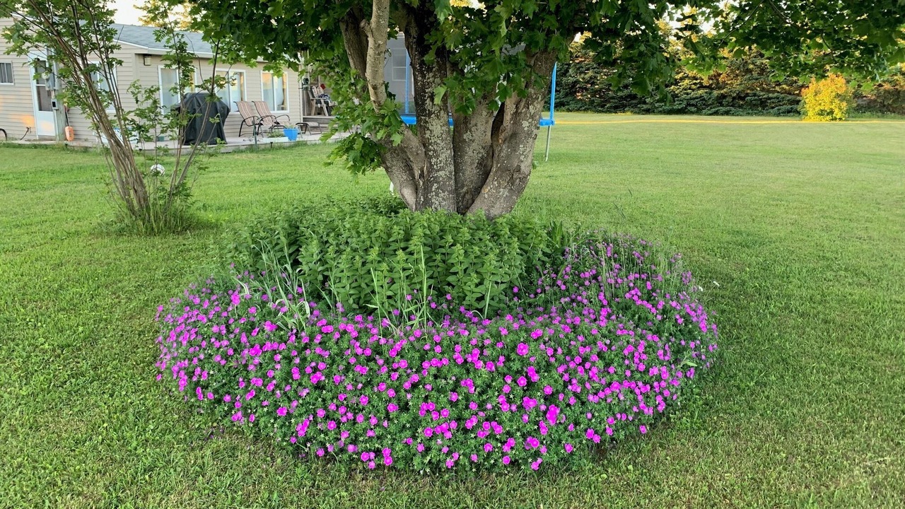 Photo of Outdoor in Tignish