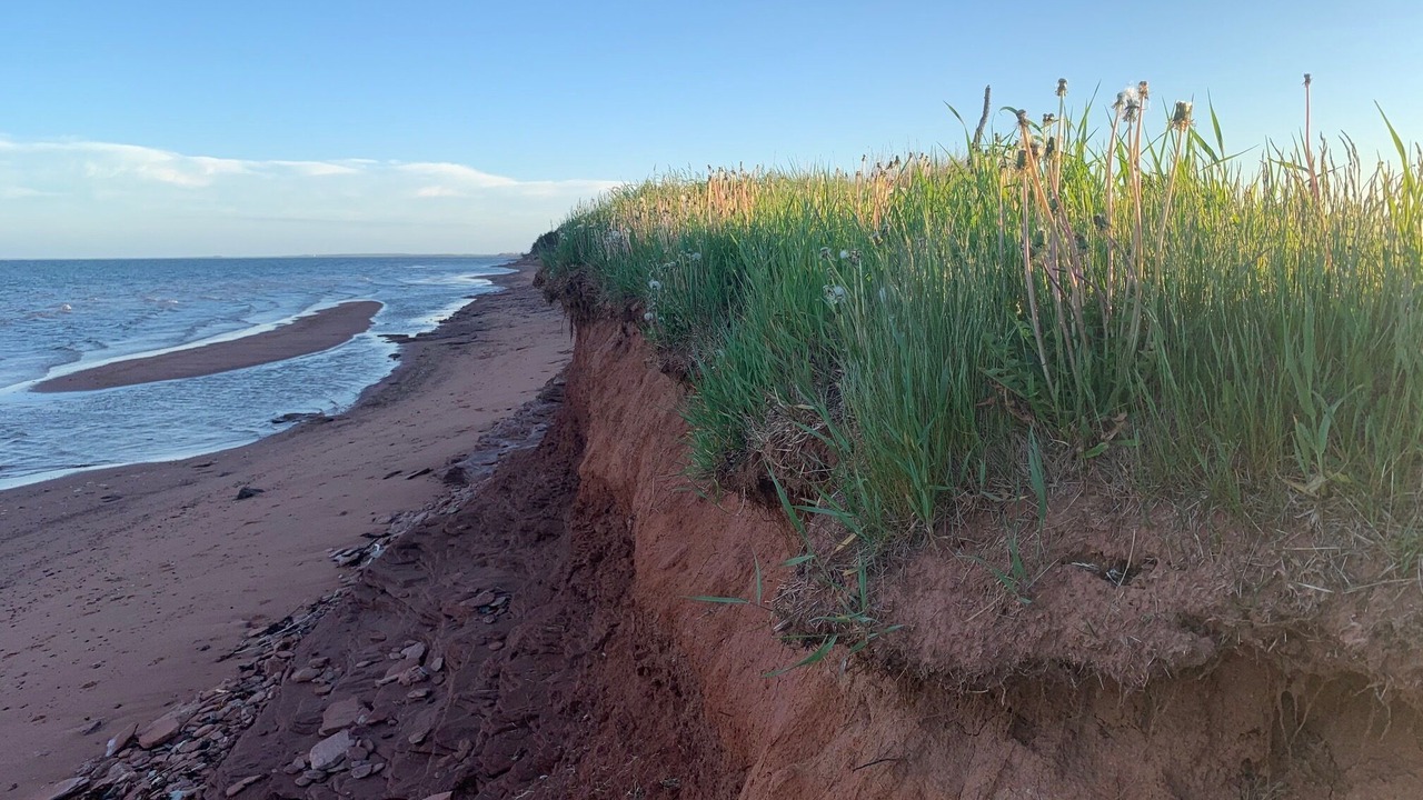 Photo of Others in Tignish