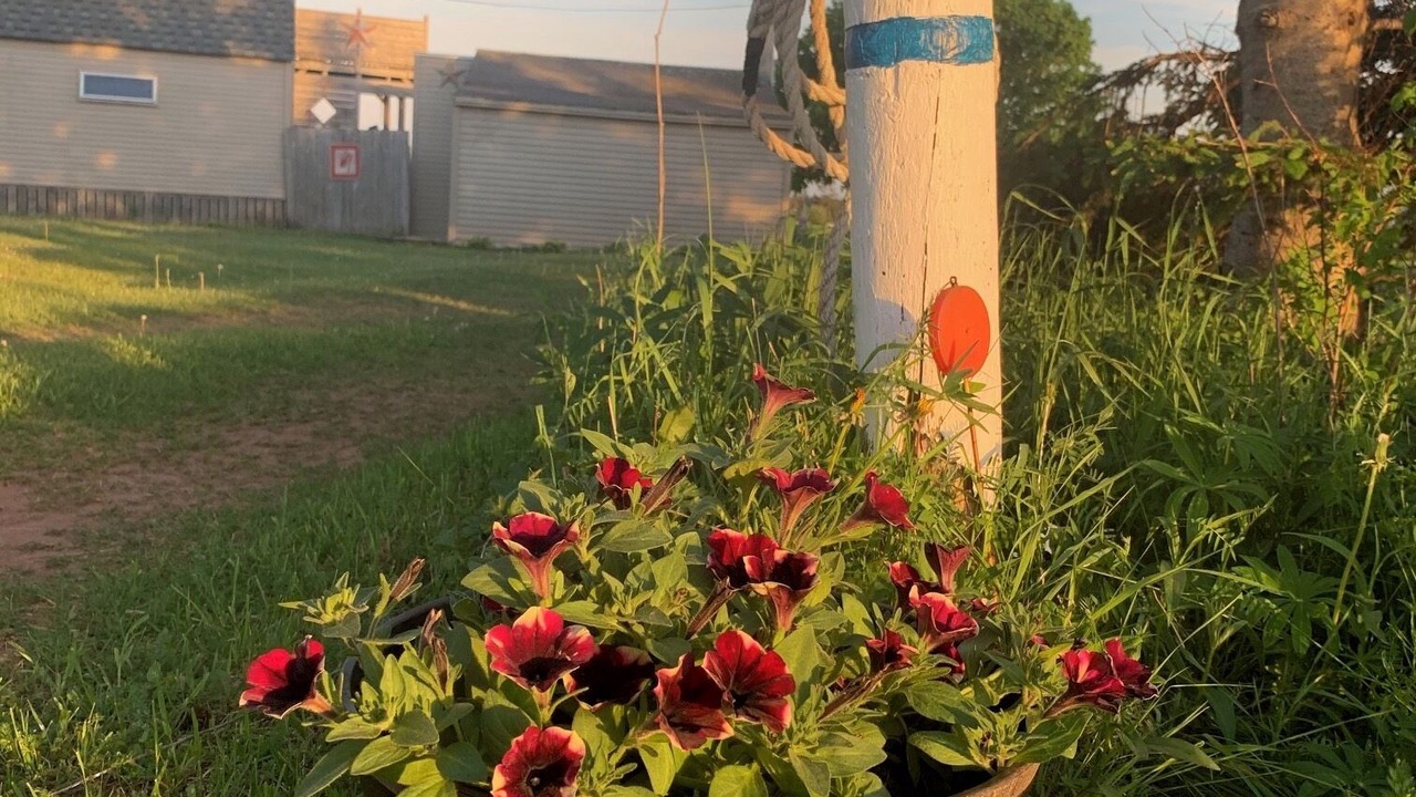 Photo of Outdoor in Tignish