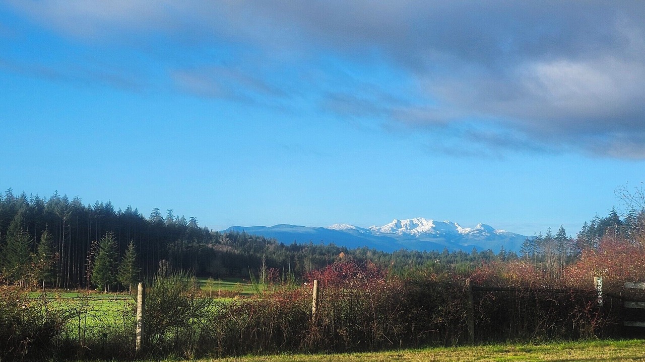 Photo of Others in Regional District of Nanaimo