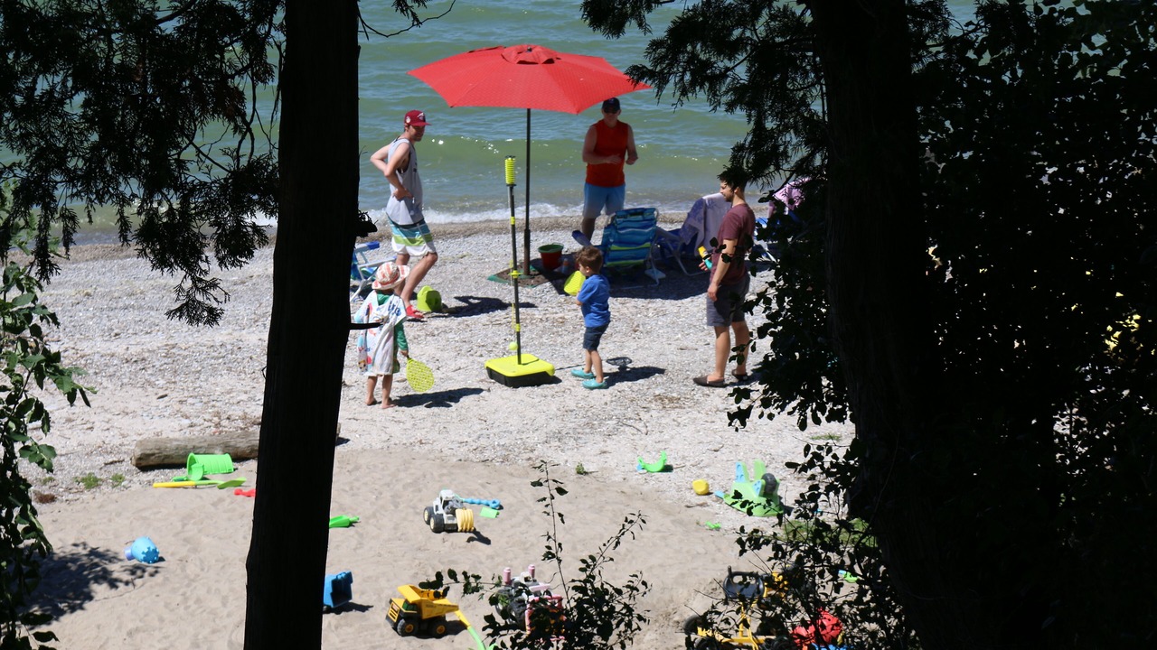 Photo of Others in Brock