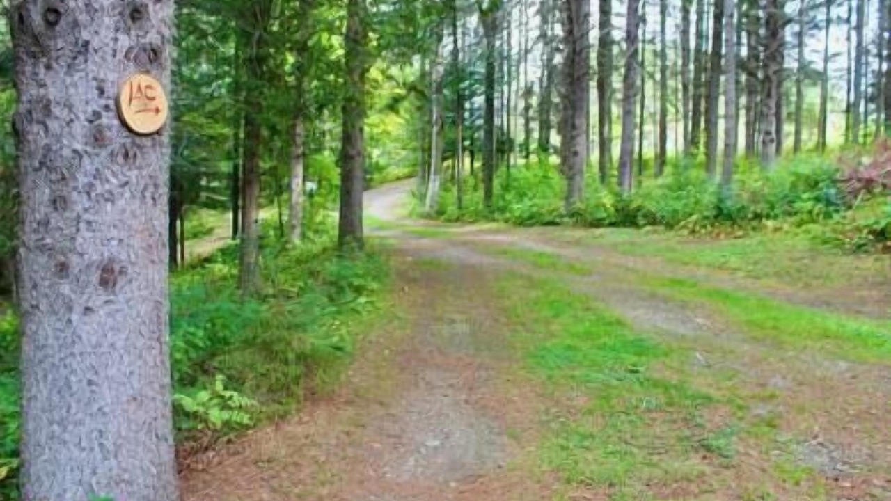 Photo of Outdoor in Frontenac