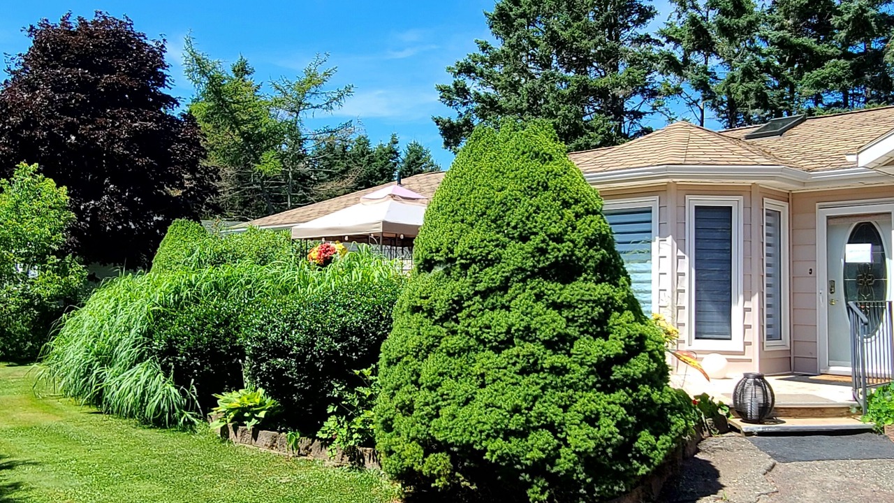 Photo of Outdoor in Charlotte's Shore