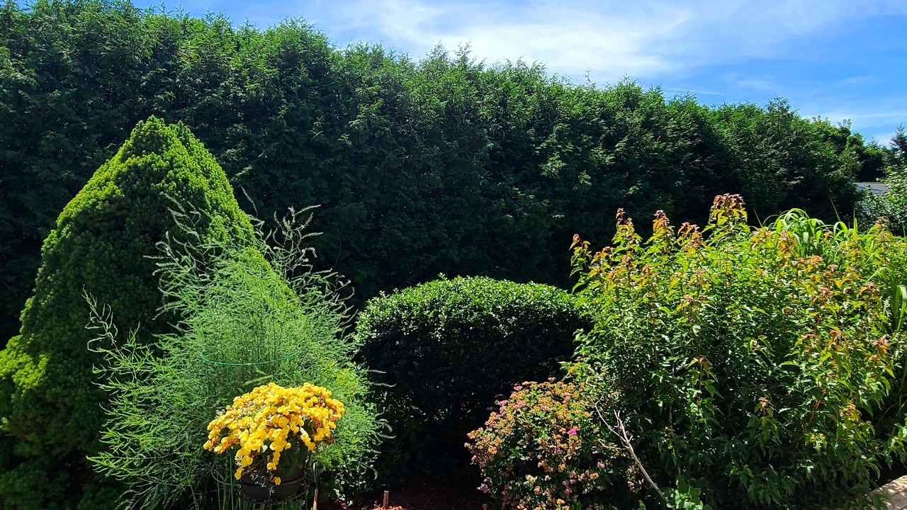 Photo of Outdoor in Charlotte's Shore