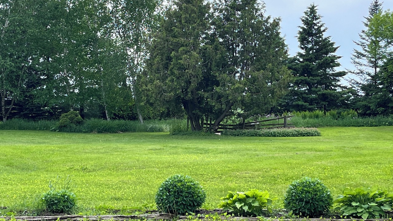 Photo of Outdoor in Palmerston