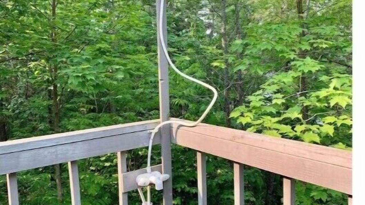 Photo of Outdoor in Collingwood
