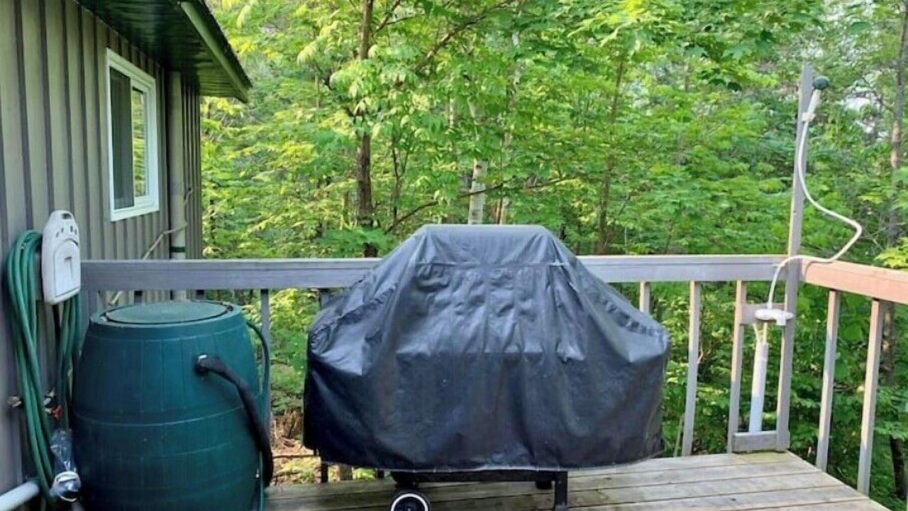 Photo of Outdoor in Collingwood