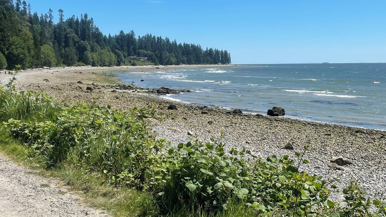 Photo of Others in Gibsons