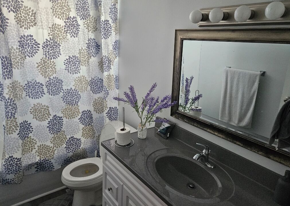 Photo of Bathroom in Terra Nova