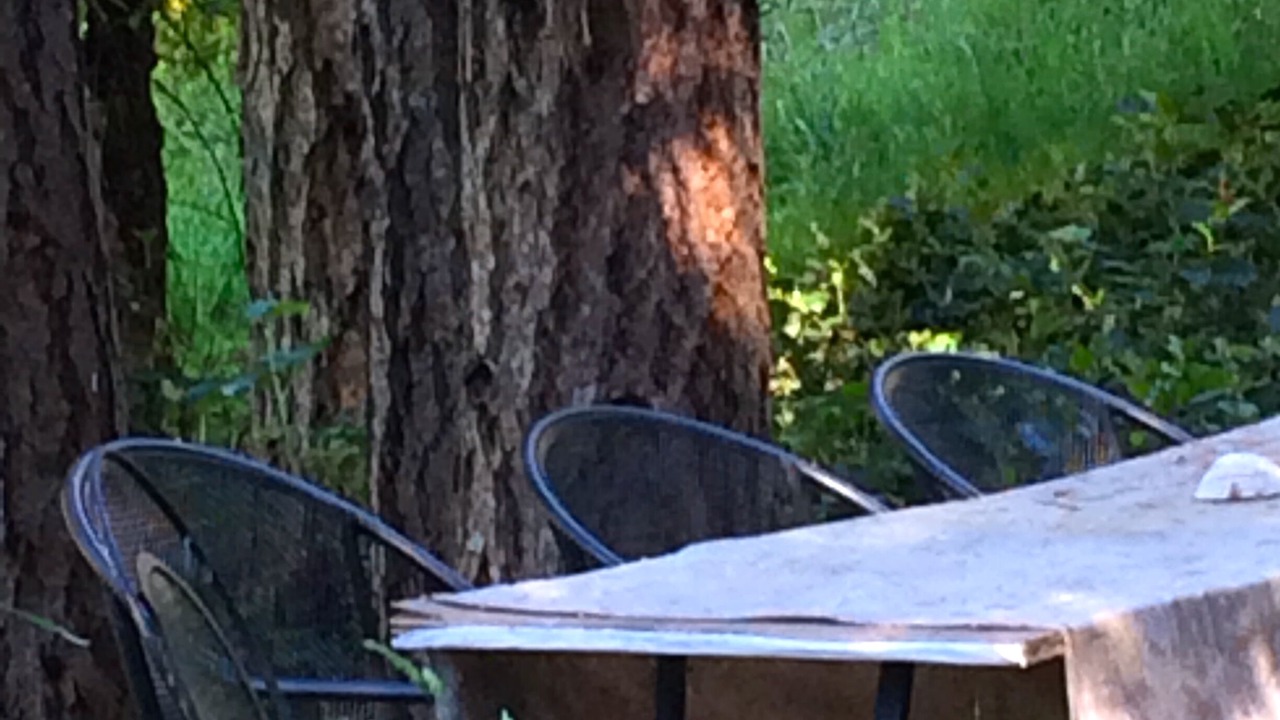 Photo of Outdoor in Salt Spring Island
