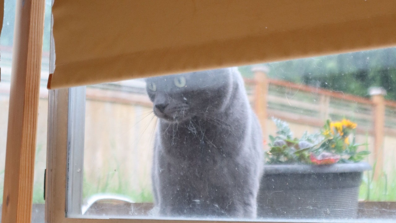 Photo of Others in Lake Cowichan